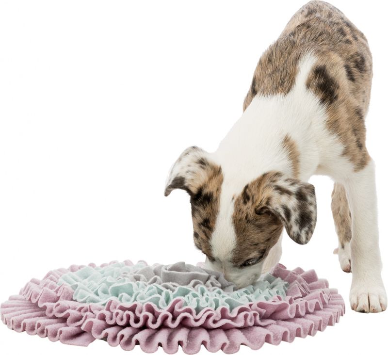 Snusematte til valp og liten hund- pastell