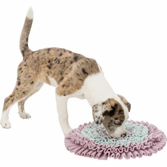 Hovedbilde Snusematte til valp og liten hund- pastell