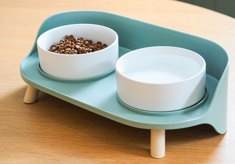 Dobbel design hundeskål og katteskål med stativ