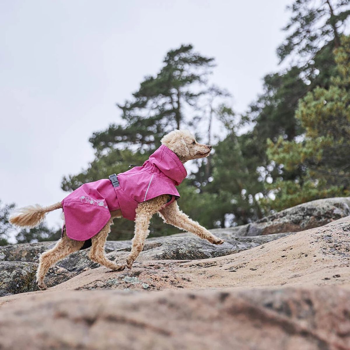 Hurtta Monsoon II ECO hundedekken - Ruby Rosa