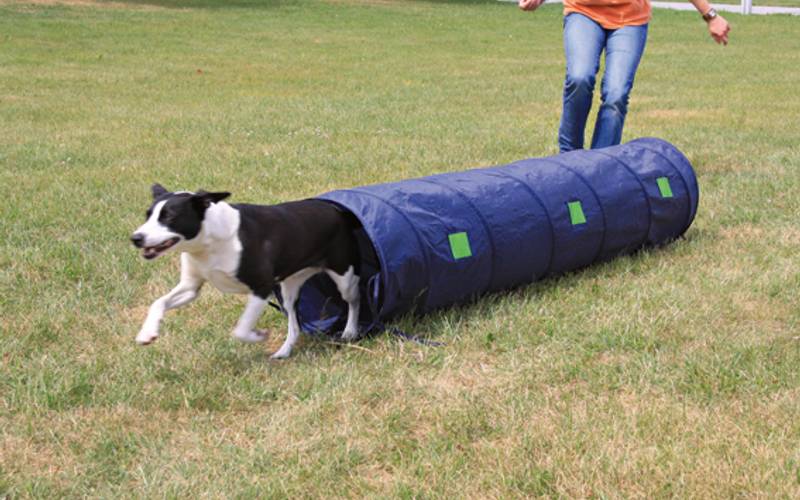 Agility hundetunnel Ø40cm - 2 meter