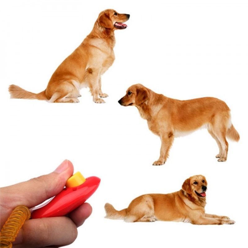 Klikker for hund med håndspiral