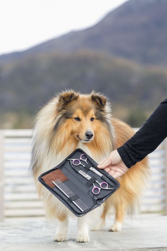 Pelsklippesett til hund - pelsstell og pelsklipp