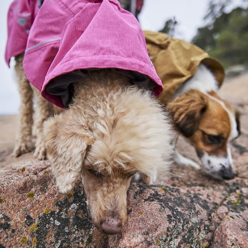 Hurtta Monsoon II ECO hundedekken - Desert Sennepsfarget