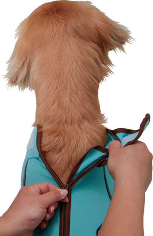 Turkis heldress til hund - Snøbeskyttende dress
