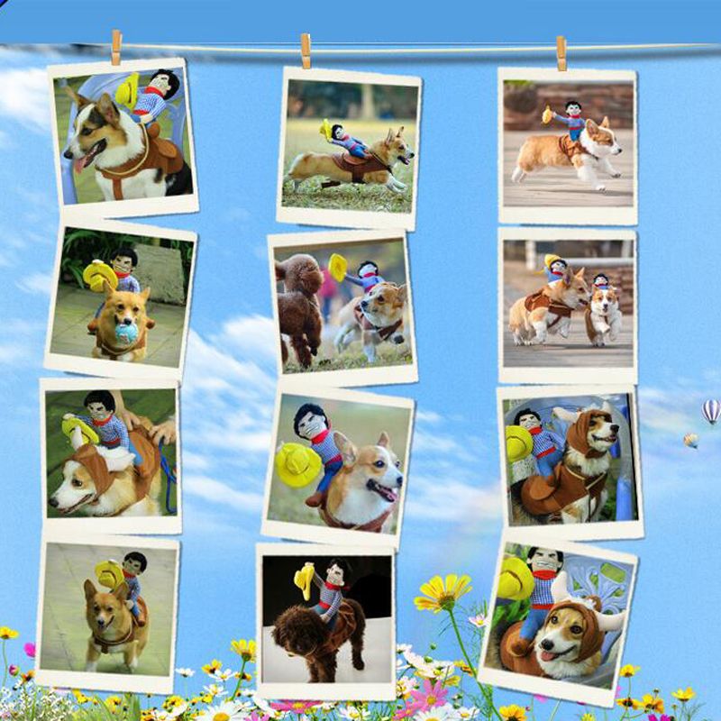 Cowboy hundekostyme