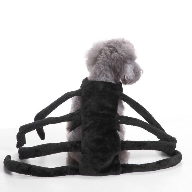 Hovedbilde Edderkopp kostyme til hund