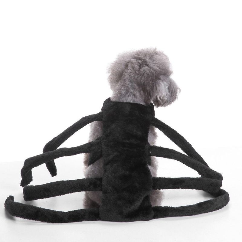 Edderkopp kostyme til hund