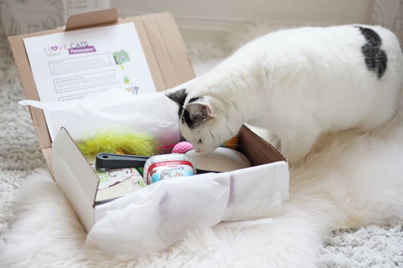 Poteklubben Katt - Overraskelsespakke