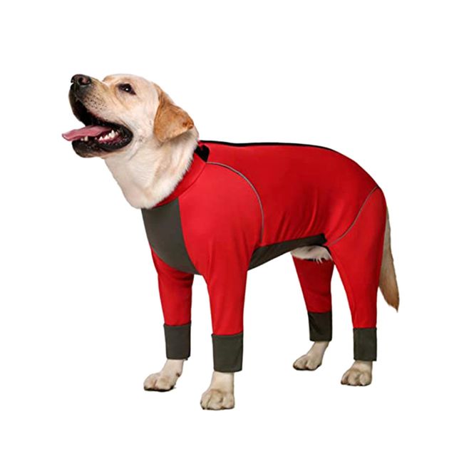 Hovedbilde Rød heldress til hund - Snøbeskyttende dress