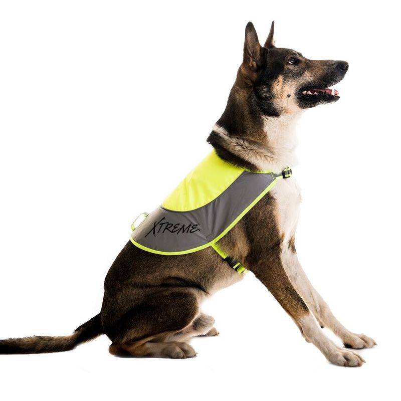 Xtreme Refleksvest for hund