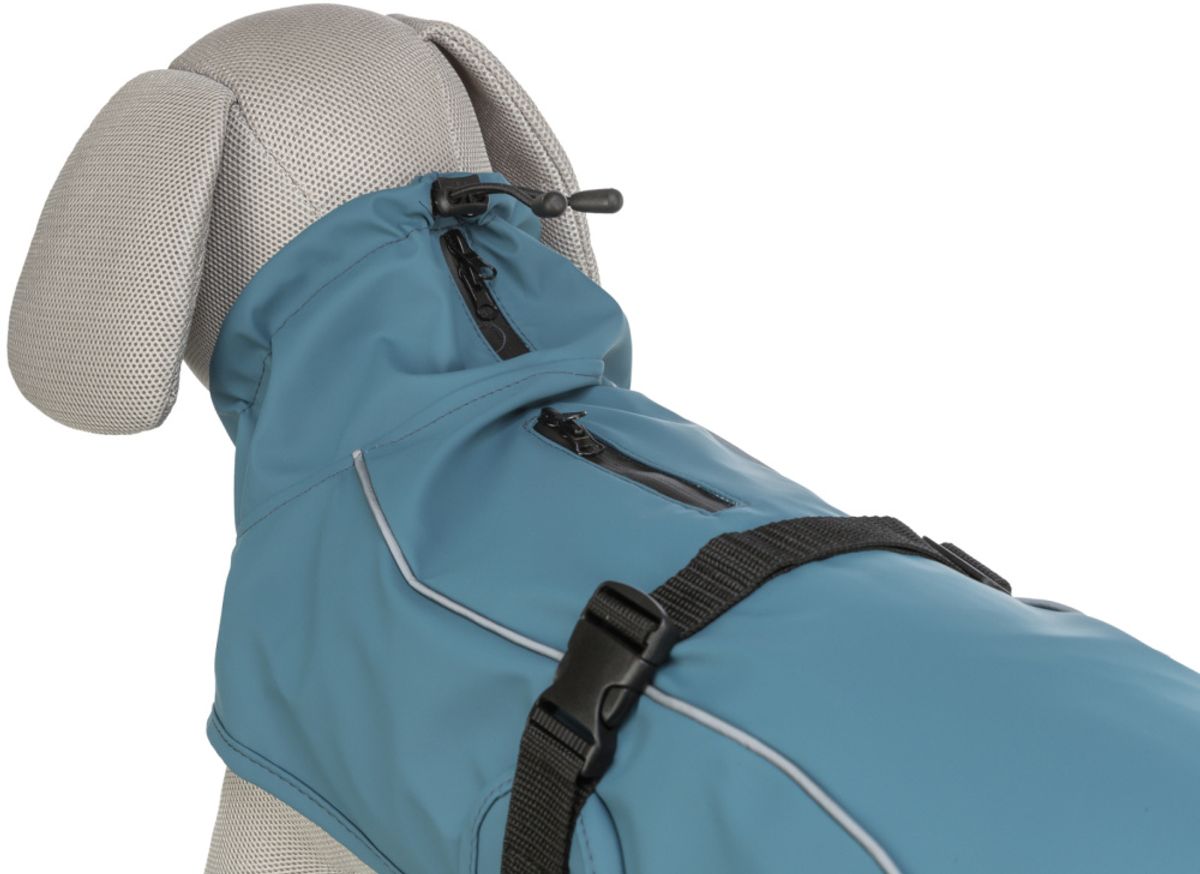 Petrol regndekken til hund