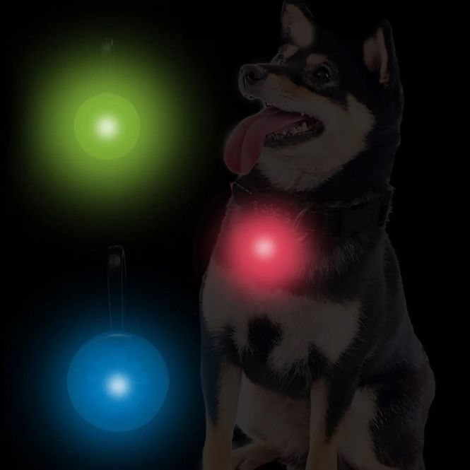Hovedbilde Rødt lite ledlys til hund