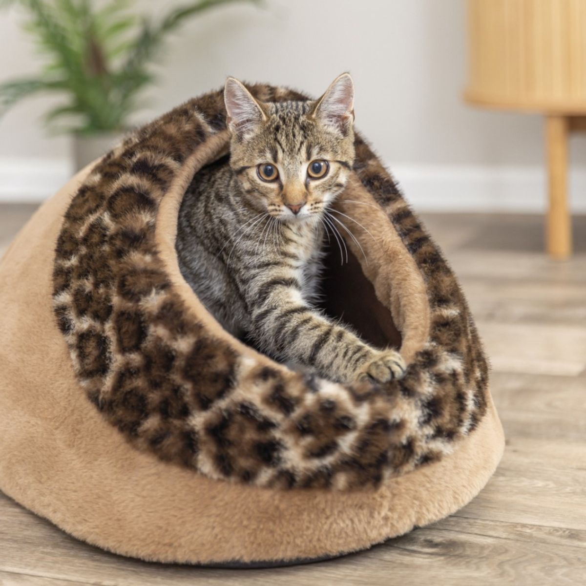 Leo brun plysj katt- og hundehule