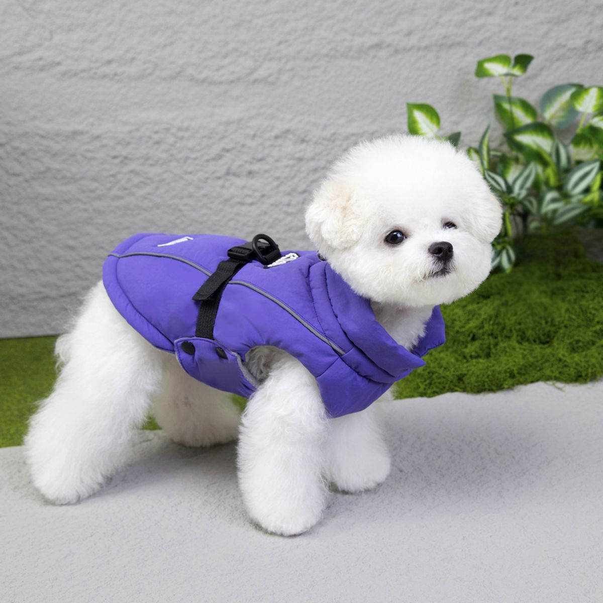 Lilla lett vattert hundedekken