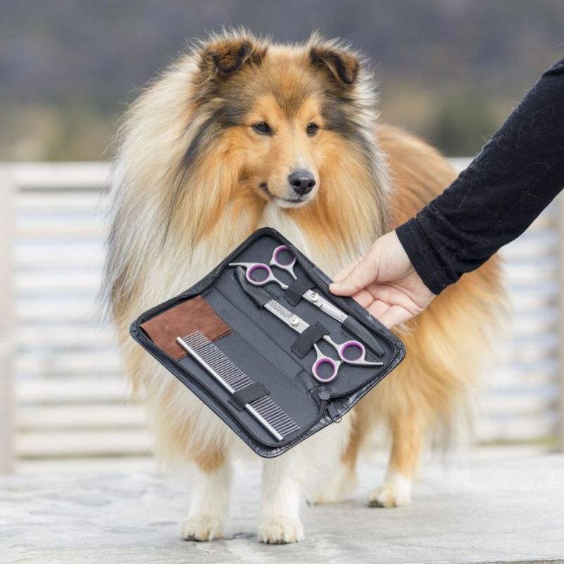 Pelsklippesett til hund - pelsstell og pelsklipp med 2 sakser