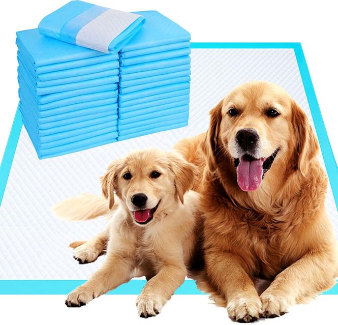Hovedbilde Puppypads Large 60x90cm, 20pk