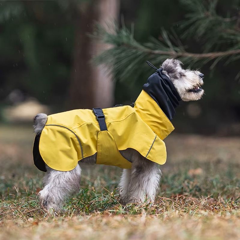 Gult hundedekken - vann og vindtett