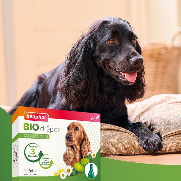 Hovedbilde Medium: Bio Spot On flått og innsektsmiddel til Hund 15-30kg 6x1ml