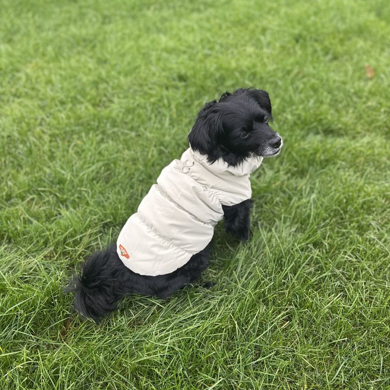 Beige boblejakke til hund
