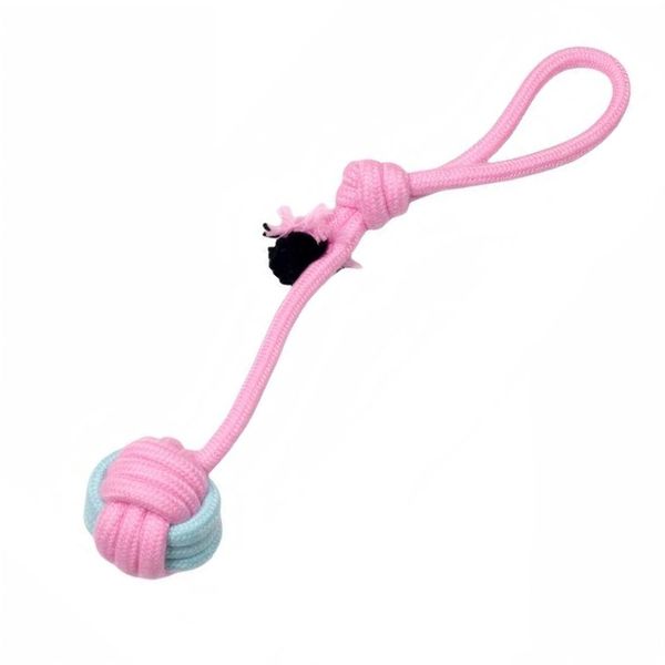 Hovedbilde Candy Tauleke med rep til hund 20 cm