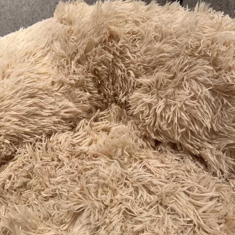 Beige fluffy hundeseng til sofa, seng, bil og gulv - Seng til hund og katt