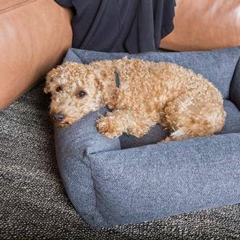 Fantail hundeseng Snug Origin Epic Gray, Str S: 70 x 55 cm