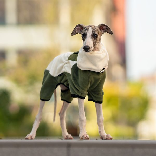 Hovedbilde Grønn og beige polarfleece hundedress