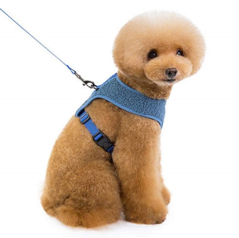 Blå Teddy hunde- og kattesele