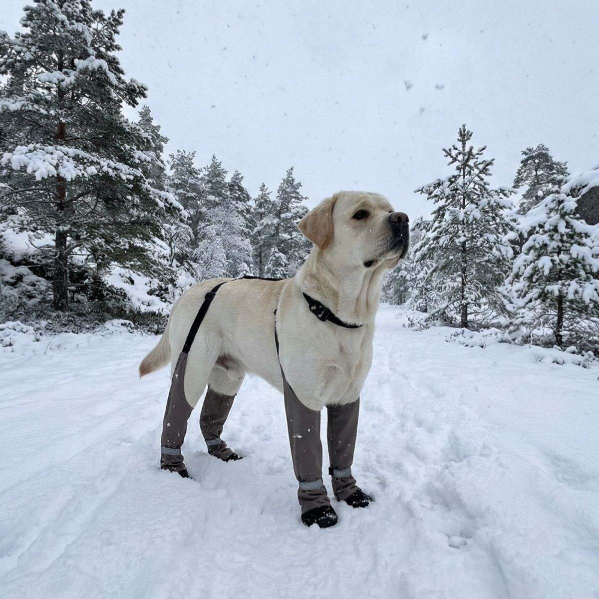 Beige forede potesko som holder seg på plass - 4pk med holder