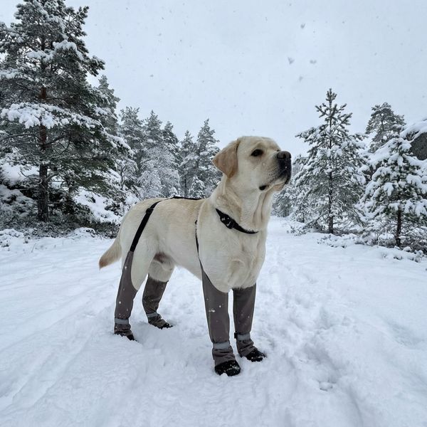 Hovedbilde Beige forede potesko som holder seg på plass - 4pk med holder