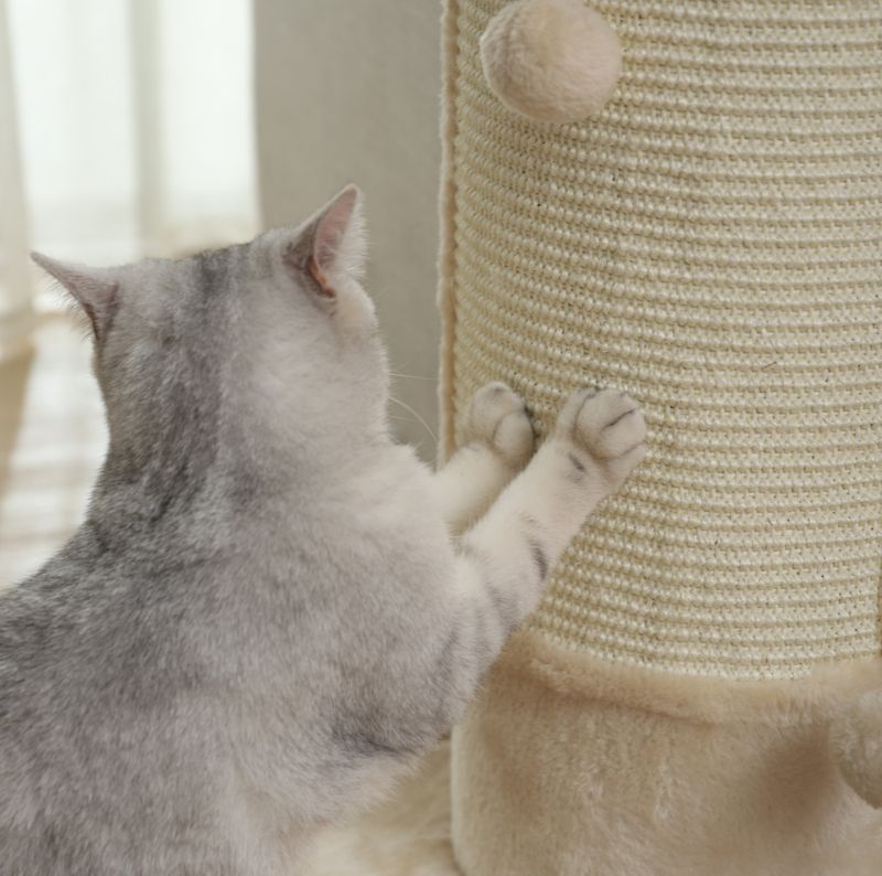 Lyst klorestativ til katt for sofa og hjørner