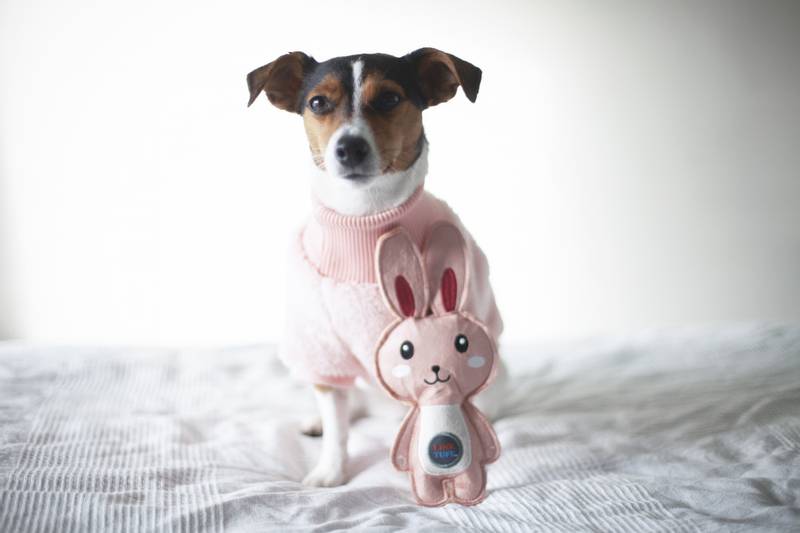 Myk korallfleece hundegenser - rosa