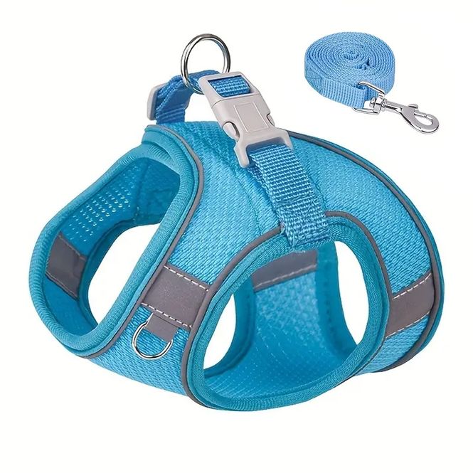 Hovedbilde Premium turkis mesh hundesele med lenke