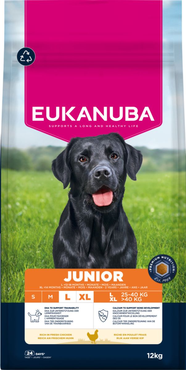 Eukanuba Junior Large Breed Kylling 12kg