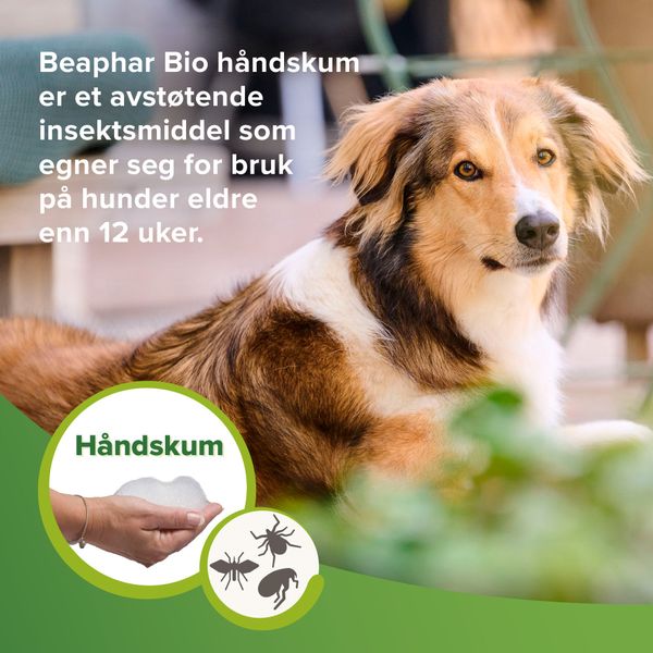 Hovedbilde Bio flått- og loppemiddel - håndskum til hund og katt