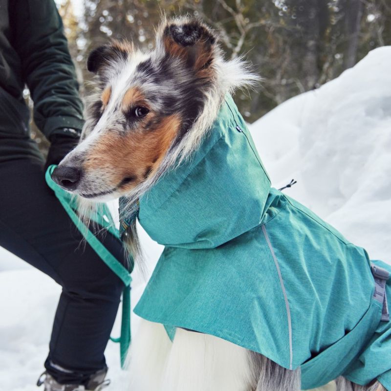 Hurtta Monsoon II ECO hundedekken - Peacock Turkis