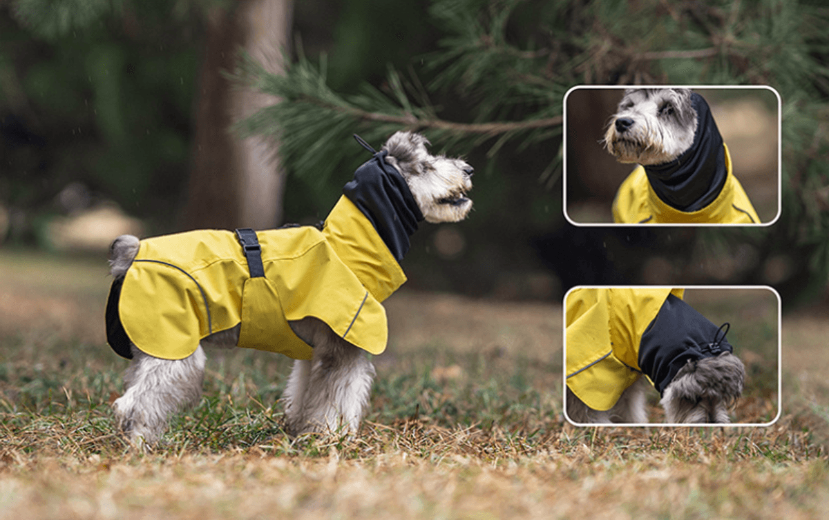 Gult hundedekken - vann og vindtett