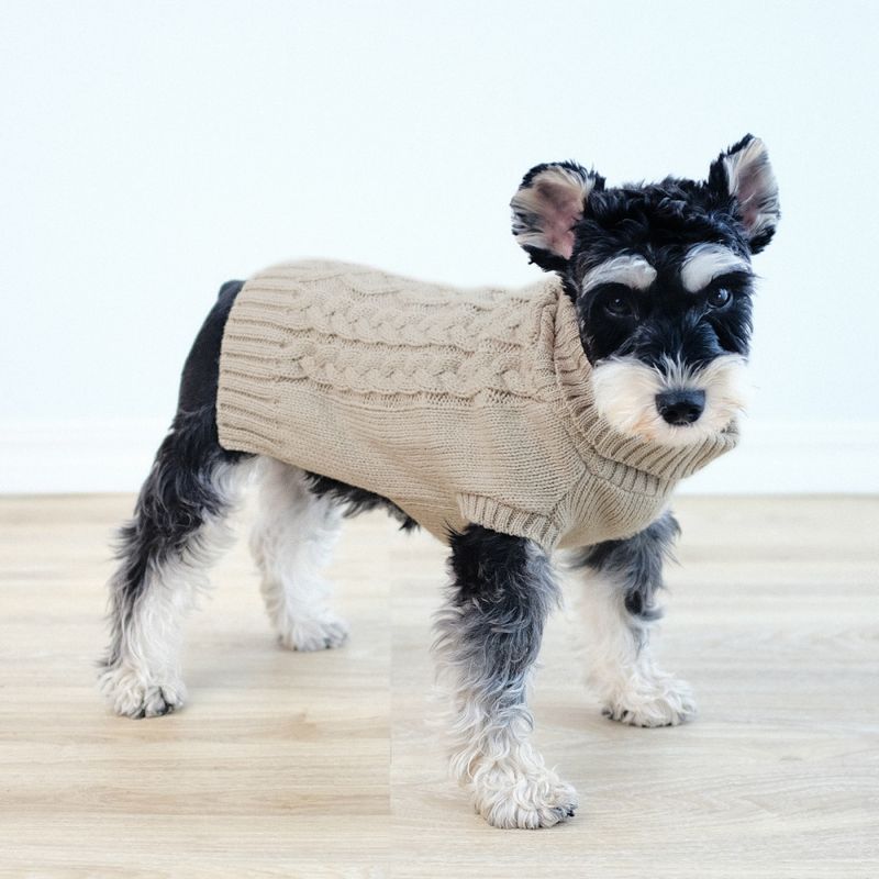 Beige strikket hundegenser 