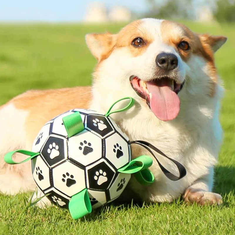 Oppblåsbar fotball til hund - solid, spretten ball for aktiv lek og trening, Ø: 15 cm