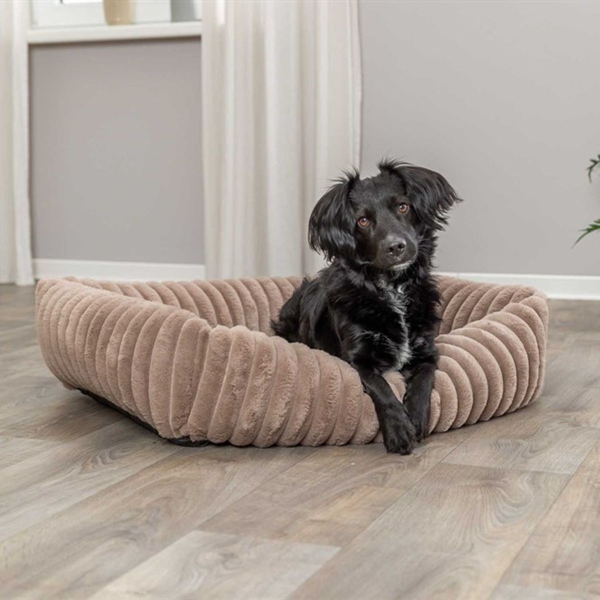 Lys brun plysj hundeseng 