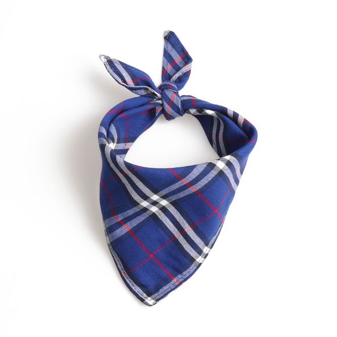 Hovedbilde Blått bandana skjerf til hund - Medium