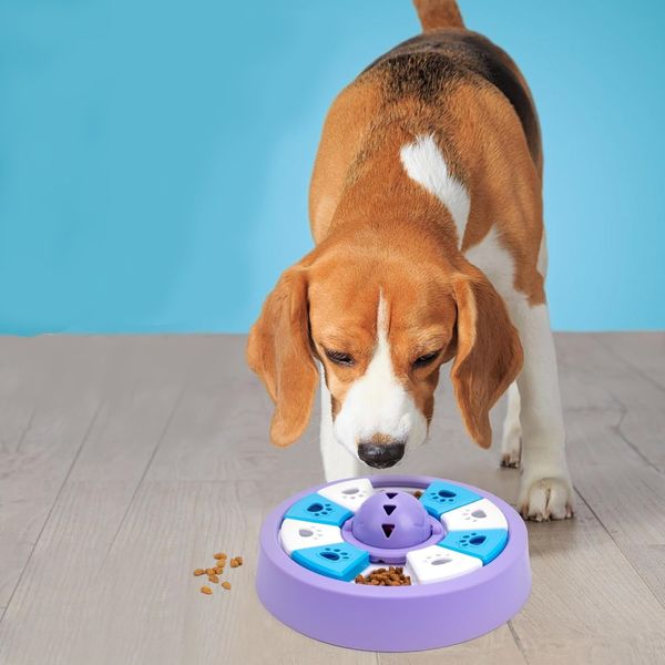 Hovedbilde Lilla disc hjernetrim til hund og katt