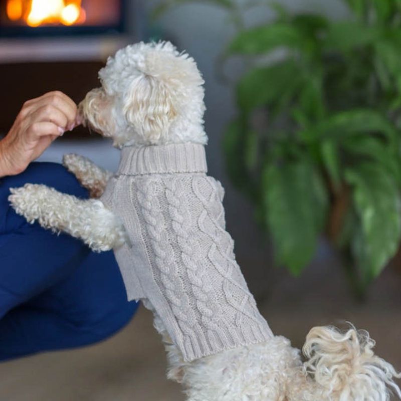 Beige strikket hundegenser 