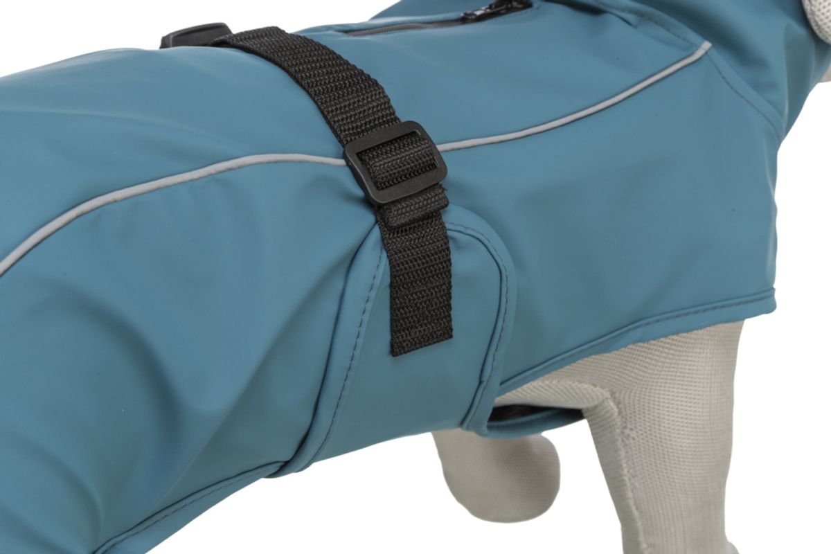 Petrol regndekken til hund