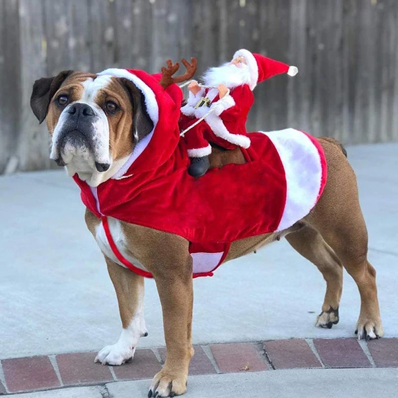 Hundekostyme til jul - julenissen som rir på reinsdyr 
