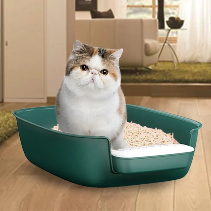 Grønn trendy kattedo