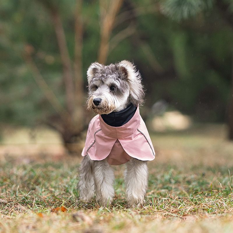 Rosa hundedekken - vann og vindtett