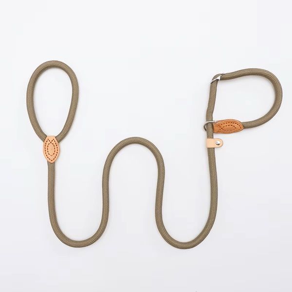 Hovedbilde Beige slip-lead hundelenke med halsbånd - 2 str