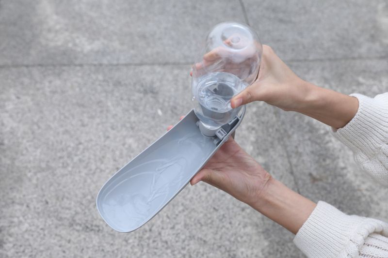 Petrolfarget  enkel drikkeflaske til hund, 550ml